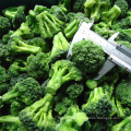 China IQF Frozen Broccoli Floret Vegetables